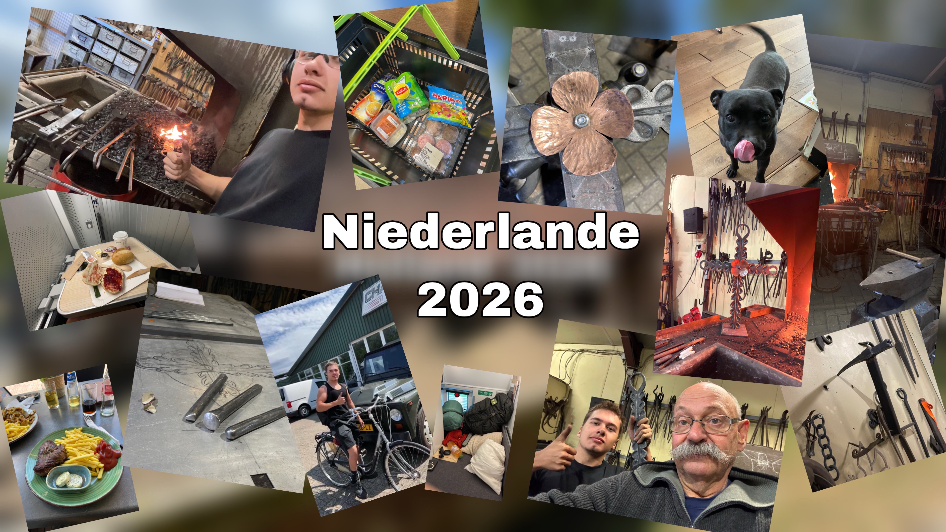 Praktikum in Terborg, Niederlande, 2026
